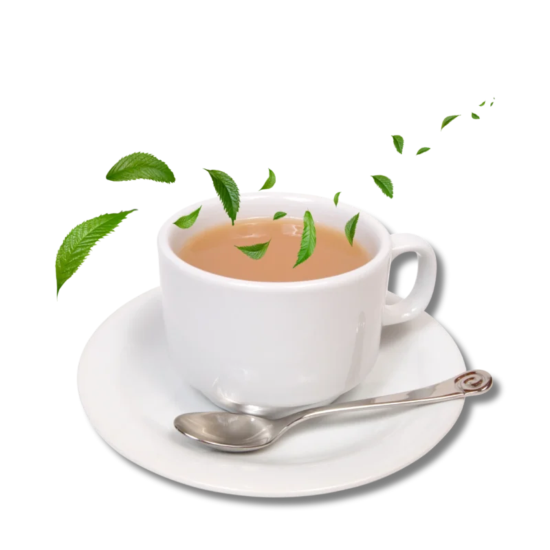 top aesthetic cafe in palakkad